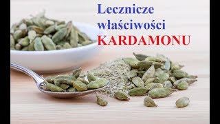 KARDAMON  właściwości zastosowanie ciekawostki [upl. by Marfe80]