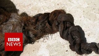 Romsey Abbey The mystery of the hair in the coffin 360 video  BBC News [upl. by Ecinnaj438]