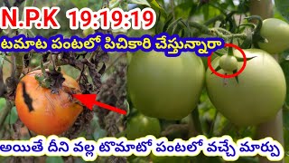 NPK191919 Uses in telugu NPK plant growth fertilizer in telugu fertilizer NPK agriculture [upl. by Perren]