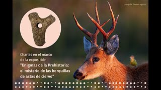 Parque Nacional Iberá historia gestión y esfuerzos para la conservación del Ciervo de los Pantanos [upl. by Edrock]