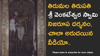 Tirumala Venkateswara Swamy Temple abhishekam real video [upl. by Arol]