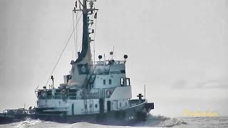 Schlepper EMS PULL CQJD IMO 7017909 BJ 1970 outbound Emden tugboat [upl. by Koffler446]