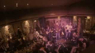 The Pelicans  YAKETY YAK in der Horseshoe Bar Oberarth 2015 [upl. by Nerine]