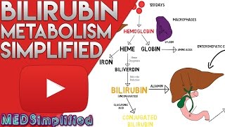 Bilirubin Metabolism Simplified [upl. by Fang]