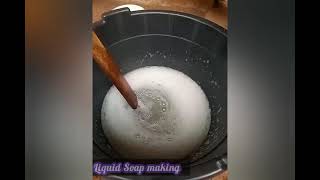 DIY liquid soap diy skills homemade diycrafts recipe house soap liquidsoap doit duet [upl. by Horan649]