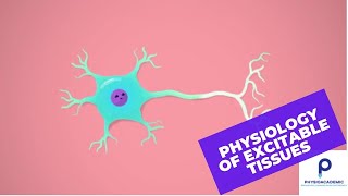 Physiology of excitable tissues [upl. by Yrrag]