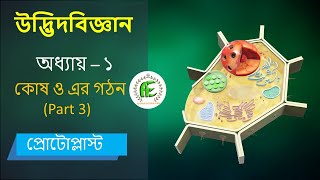 3 Protoplast and protoplasm Bangla। কোষ ও এর গঠন। HSC amp Admission [upl. by Pollard]