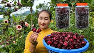 Harvesting artichokes for sale at the market  Preserving artichokes year round  Ly Thi Tam [upl. by Eusebio316]