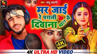 Sonu Satrangi New Bewafai Video 2024।। मर जाई रे पगली दीवाना तोरा प्यार में।। Sad Song 2024।। [upl. by Reiter97]