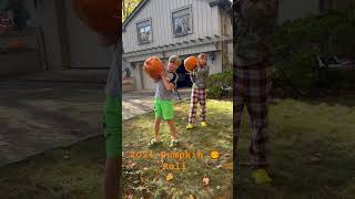 2024 Pumpkin 🎃 Roll part 1 halloween pumkinpatch pumpkinroll [upl. by Worlock]