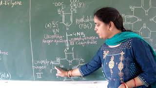 Porphyrin BiosynthesisHeme Synthesis Hindi [upl. by Trebloc]