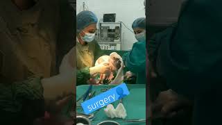 How is Cesarean Section LSCS done Cesarean Delivery me kya hota hai youtubeshorts trending 🏥💉💊 [upl. by Howie741]