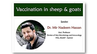 Vaccination in Sheep amp Goats Sheepfarming Goatfarming Sathyazerograzing [upl. by Nilsoj]