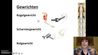 Stevigheid en beweging  Beenverbindingen [upl. by Illom]