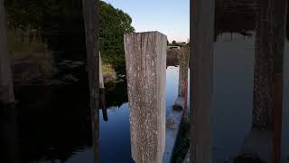 Old Glasgow Remnants Part 5 Kelvin Dock Forth and Clyde Canal Maryhill Glasgow🏴󠁧󠁢󠁳󠁣󠁴󠁿 history [upl. by Ayidan796]