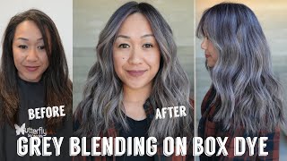 Hair Transformations with Lauryn Grey Blending on Previous Box Dye Ep 203 [upl. by Lucian308]