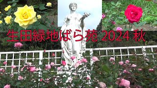 【生田緑地ばら苑】2024年10月19日～11月17日【11月6日秋バラ見頃】全国都市緑化かわさきフェア【神奈川観光デートスポット】小田急線向ヶ丘遊園駅南口下車。神奈川県川崎市多摩区 [upl. by Delwin]