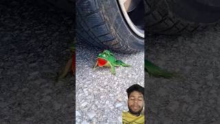 Crushing of soft and crunchy things by car Tyre asmr softball crushing shorts [upl. by Aeresed]