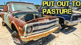 Abandoned 1969 Chevy C10 Farm Truck Stepside Junkyard Find [upl. by Ajnat541]