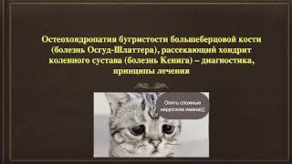 34 Болезнь ОсгудШлаттераболезнь Кенига – диагностика принципы лечения [upl. by Bluhm]