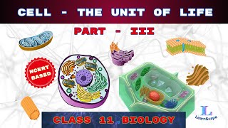 Cell  The Unit Of Life  PART  III class 11 Biology  NCERT  COHSEM  CBSE [upl. by Nelad]