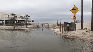 Edisto Flooding [upl. by Haymes]