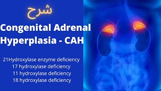 شرح CAH  Congenital Adrenal Hyperplasia كما لم تسمعها من قبل [upl. by Yesnek171]