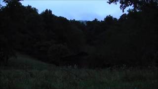 Night Time in the mountains  10 hours of HD Frogs Crickets Cicadas and other insects [upl. by Gonzales]