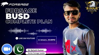 Forsage Busd Complete Plan Sir Kelash Kumar [upl. by Philina753]