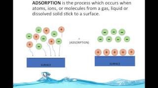 Water Purifciation By Adsorption ENGS102P [upl. by Aliakam362]