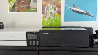 Epson P700 solution Buy more ink or buy a new printer Epson ET8550 [upl. by Nwahsid]