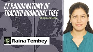 CT TRACHEOBRONCHIAL TREE ANATOMY  RAINA TEMBEY  HRCT CHEST  RADIOANATOMY TRACHEA AND BRONCHI [upl. by Sitof]