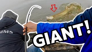 I HOOKED A MONSTER FISH Biggest MUSKY of My Life [upl. by Lekcim335]