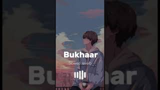 Bukhaar Nafees  Slowed amp Reverb [upl. by Tobye87]