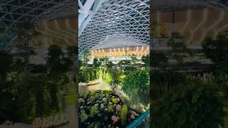 Doha Qatar airport inside garden subscribe subscribemychannel youtube youtubeshorts [upl. by Olivero]