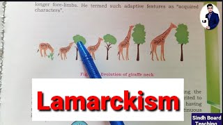 Lamarckism Theory of Inheritance of Acquired Characters Lecture 7 [upl. by Nuawd]