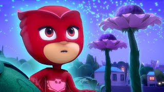 PJ Masks Super Pigiamini ✨ Gufetta e i fiori lunari ✨ Nuovi Episodi  Cartoni Animati [upl. by Crawley]