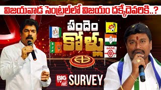 Vijayawada Central Constituency BIG TV Survey  Vellampalli Srinivas vs Bonda Uma  Pandem Kollu [upl. by Anaiq]