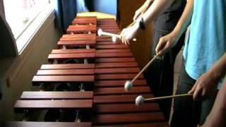 Zelda Ocarina of Time  Sarias Song on Marimba [upl. by Shaw]