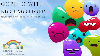 Coping with BIG Emotions  Anger amp Anxiety Support  Brainstem Calmers  Emotional Literacy [upl. by Lerraj]