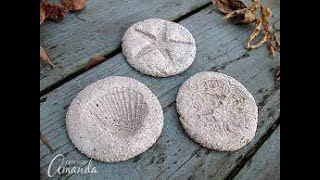 How to make a fossil with plaster of paris Sipru [upl. by Koblick]