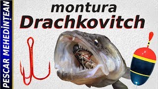 montura Drachkovitch [upl. by Larrad]