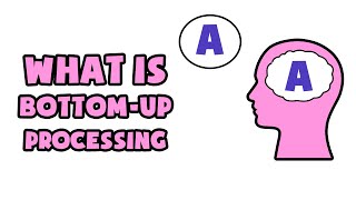 What is Bottomup processing  Explained in 2 min [upl. by Britt]