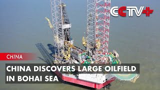 China Discovers Large Oilfield in Bohai Sea [upl. by Aihsekal]