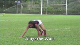 Animal Walks  Alligator Walk [upl. by Hgielhsa]