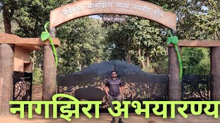 नागझिरा अभयारण्यनवेगाव नागपूर  एक अविस्मरणीय भेट Nagzira National parkNavegav core safari [upl. by Aehsrop]