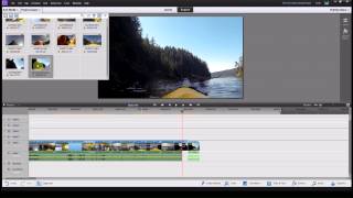 Freeze Frame  Adobe Premiere Elements [upl. by Ellitnahc]