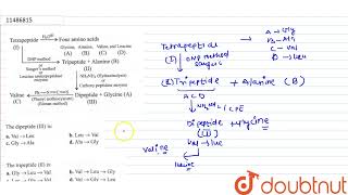 The dipeptide III is  12  BIOMOLECULES  CHEMISTRY  CENGAGE CHEMISTRY  Doubtnut [upl. by Simons987]