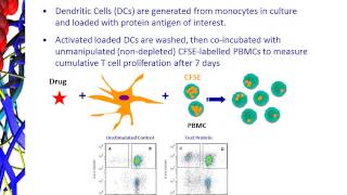 ProScern® DCT cell Proliferation Assay [upl. by Douville]