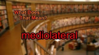 What does mediolateral mean [upl. by Meghann]